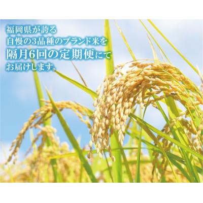 ふるさと納税 福智町 研ぐお米 福岡県産米3品種セット6kg　定期便(隔月・年6回) |  | 02