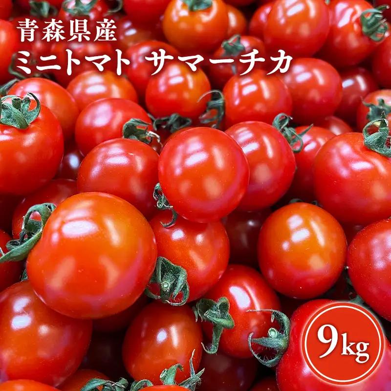 ミニトマト 9kg  サマーチカ [hi-0070-004]