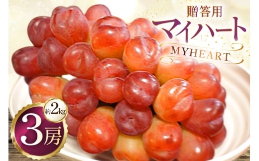 贈答用 マイハート 3房 約2kg [ごとう農園 山形県 高畠町 tk06bcz270003] フルーツ 果物 くだもの ぶどう ブドウ 葡萄 2キロ 甘い 果実 デザート マスカット 農家直送 産地直送 数量限定 期間限定 贈答