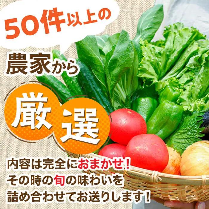 【全6回定期便】農家セレクト！特別栽培 日田の厳選食材 詰め合わせ日田市 野菜 果物 米 産地直送 新鮮 セット[ARBR003]
