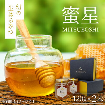 【ふるさと納税】【蜜星】幻の生はちみつ(120g×2本)【1683402】