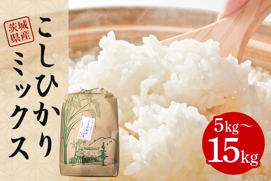 
                  茨城県産 こしひかりミックス 令和7年産 白米 選べる 5kg 10kg 15kg B07-017-SKU
                