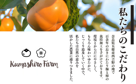 富有柿 7.0kg箱　大玉サイズ（22個～24個） ※着日指定不可 ※2025年11月上旬頃～12月上旬頃に順次発送予定 | フルーツ くだもの 果物 柿 かき カキ 富有柿 奈良県 五條市