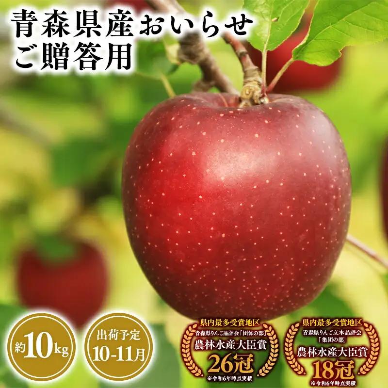 りんご 贈答用 おいらせ10kg [hi-0053-040]