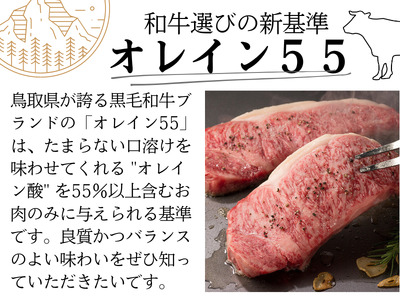鳥取和牛ランプステーキ 500g 鳥取県産 MK12 1003