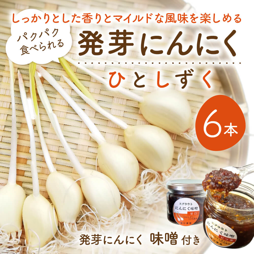 発芽にんにく6本入り1袋＋発芽にんにく味噌 甘口・ピリ辛 140ｇ1瓶ずつ 株式会社藤田電気工業（藤田農園） 滋賀県 東近江市 O-F08 発芽にんにく ひとしずく スプラウト にんにく 味噌 健康 美容 野菜 素揚げ 天ぷら ご飯のおとも ギフト プレゼント