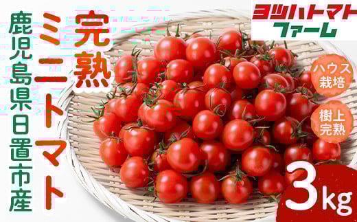 No.1195-C ハウス栽培 完熟ミニトマト(3kg) 国産 九州産 トマト とまと ミニトマト 野菜 ハウストマト 完熟 産地直送【ヨツハトマトファーム】【1195-A】【1195-B】【1195-C】