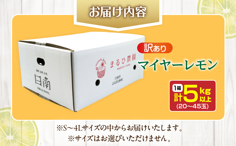 訳あり 先行予約 数量限定 マイヤーレモン 計5kg以上 フルーツ 果物 柑橘 レモン 檸檬 オレンジ 人気 おすすめ おすそ分け お土産 プレゼント お取り寄せ グルメ 国産 食品 デザート スイー