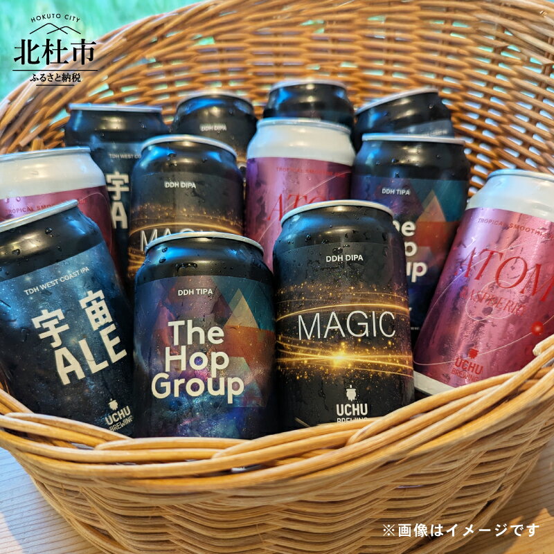 【ふるさと納税】 うちゅうブルーイング クラフトビール セット 12本 350ml 宇宙ビール うちゅうビール 飲み比べ 八ヶ岳 せんのや 送料無料