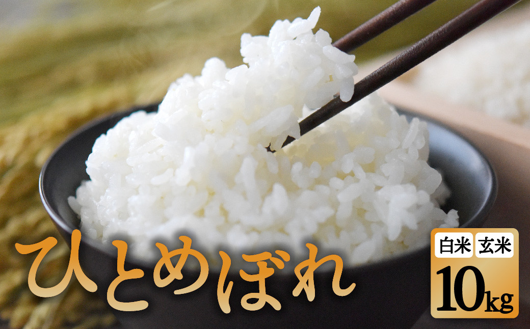 
            令和6年産 新米 10kg ひとめぼれ 金ケ崎町産 お米 米 精米 白米 玄米 数量限定 家庭用 家計応援
          