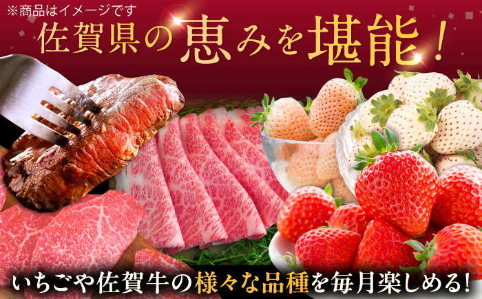 【先行予約】【全6回定期便】佐賀県の生産者を応援！いちごと佐賀牛を楽しむ定期便 / 白いちご いちご ステーキ 焼肉 すきやき 佐賀牛 / 佐賀県ふるさと納税 [41AAZZ009]