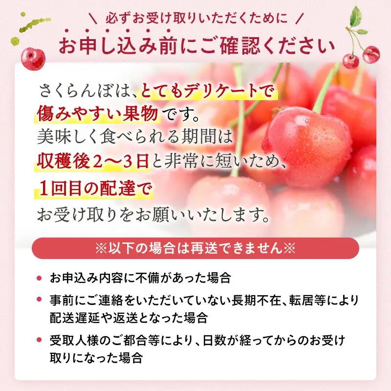 三関産 さくらんぼ 佐藤錦 250g×2 (秀Lサイズ)【三関果樹勉強会】[B4-3203]