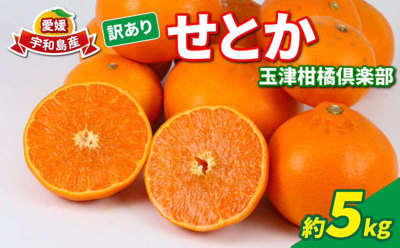 
訳あり せとか 5kg 玉津柑橘倶楽部 愛媛みかん 愛媛蜜柑 愛媛ミカン 完熟 高級 大粒 限定 品種 希少 ブランド シャキシャキ 玉津 みかん mikan 予約受付 果物 くだもの フルーツ 柑橘 甘い 甘味 蜜柑 産地直送 数量限定 国産 愛媛 愛媛県産 宇和島 B015-072028
