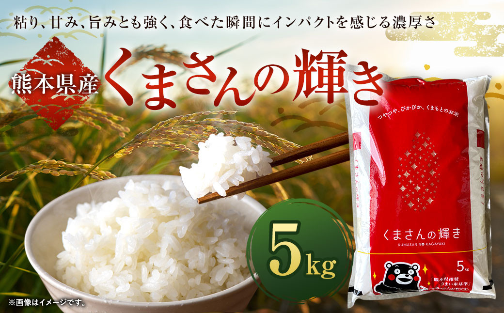 
                  【 令和7年産 】 くまさんの輝き 5kg × 1袋 お米 白米 【2026年9月下旬迄発送予定】
                