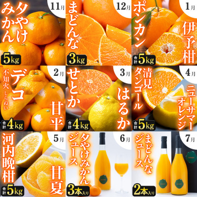 
            ＜発送月固定定期便＞「こたつの上の冬物語」驚異の全14種類!!＜H49-75＞全9回【4056043】
          