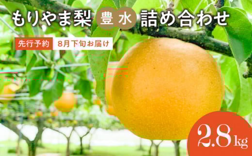 びわこもりやまフルーツランド　もりやま梨　豊水詰め合わせ 【2025年8月下旬～9月中旬お届け】完熟採り　生産農家直送 果汁たっぷり 箱詰め