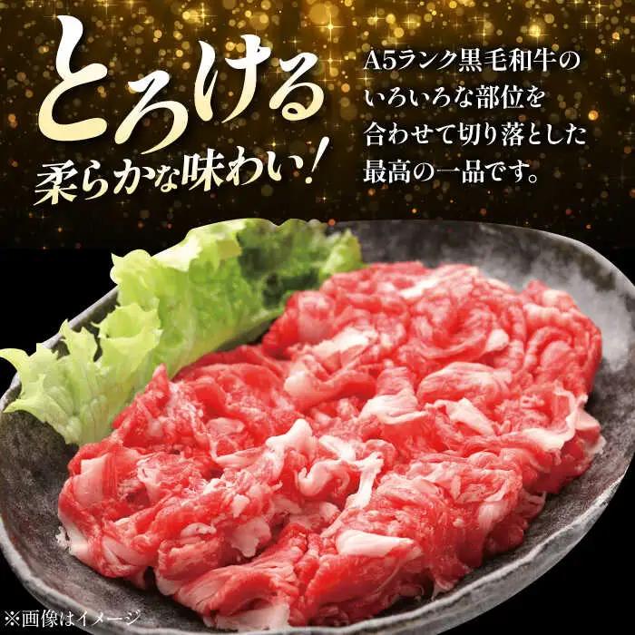 【全6回定期便】国産和牛切落し 600g[AOAI024] 牛肉切り落とし