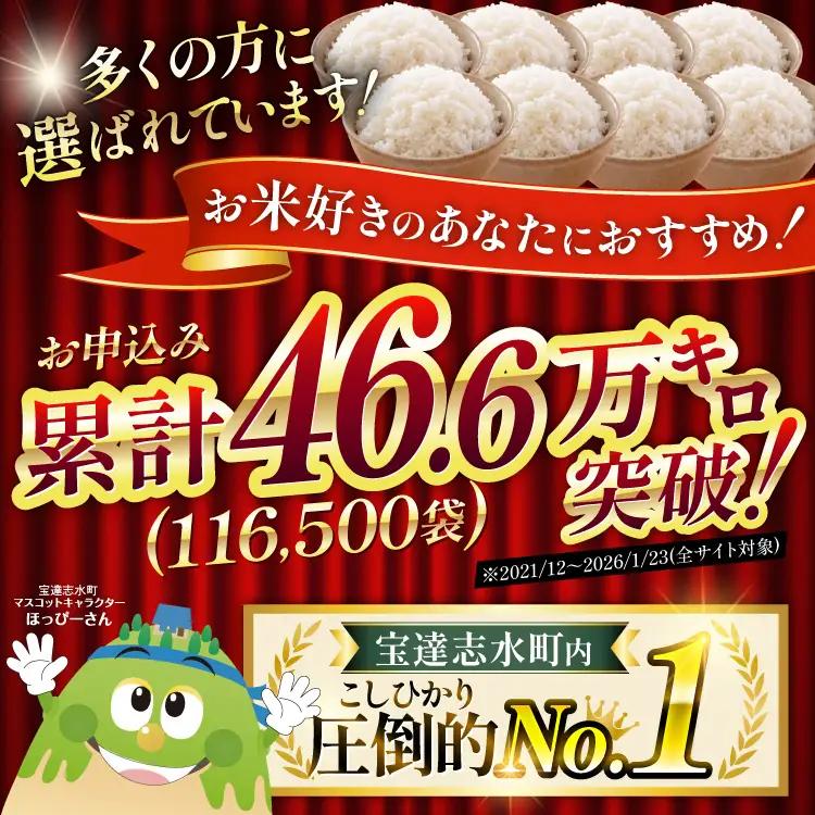 米 定期便 石川米 こしひかり 5kg × 12回