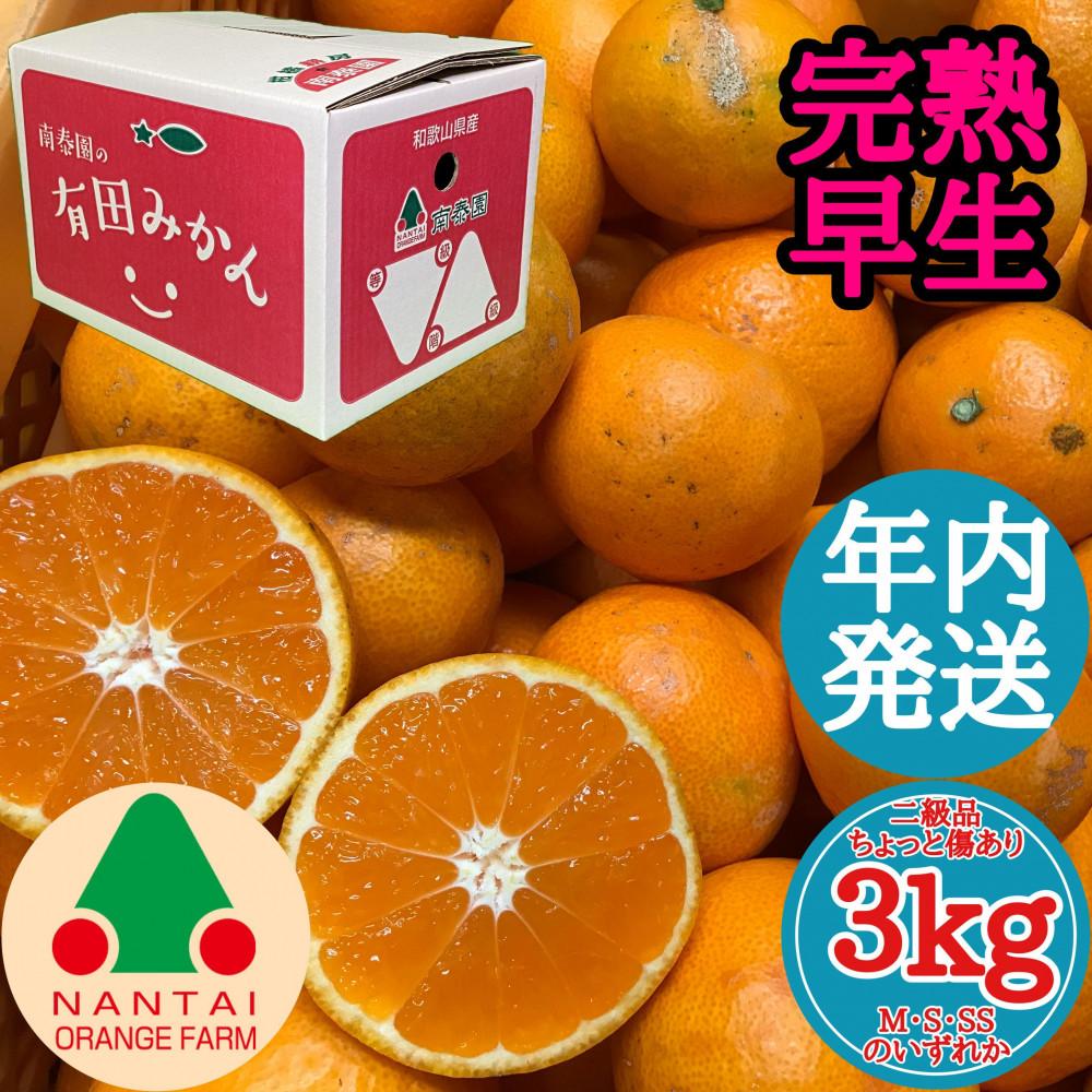 【ふるさと納税】年内発送 ちょっと 傷あり 完熟早生 有田みかん M ～ SS サイズ 3kg 和歌山 南泰園 みかん | みかん 蜜柑 フルーツ 果物 くだもの 食品 人気 おすすめ 産地直送 送料無料