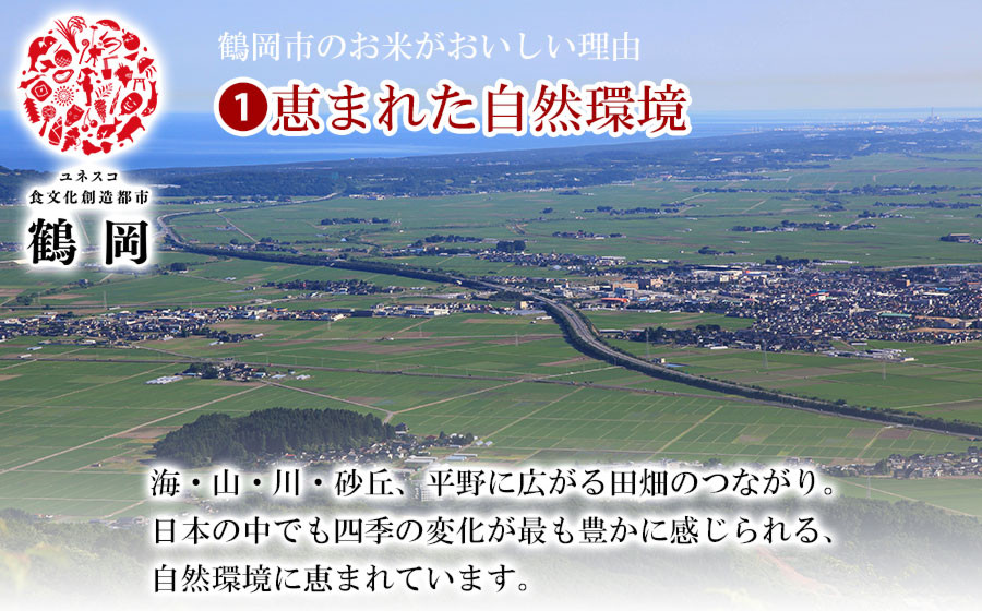 【令和7年産】はえぬき 精米 5kg(5kg×1袋)　山形県 庄内産　米食味鑑定士お薦め | 5キロ はえぬき 白米 精米 米 お米 おこめ コメ こめ 食品 ご飯 ごはん おいしい 山形県 鶴岡市 
