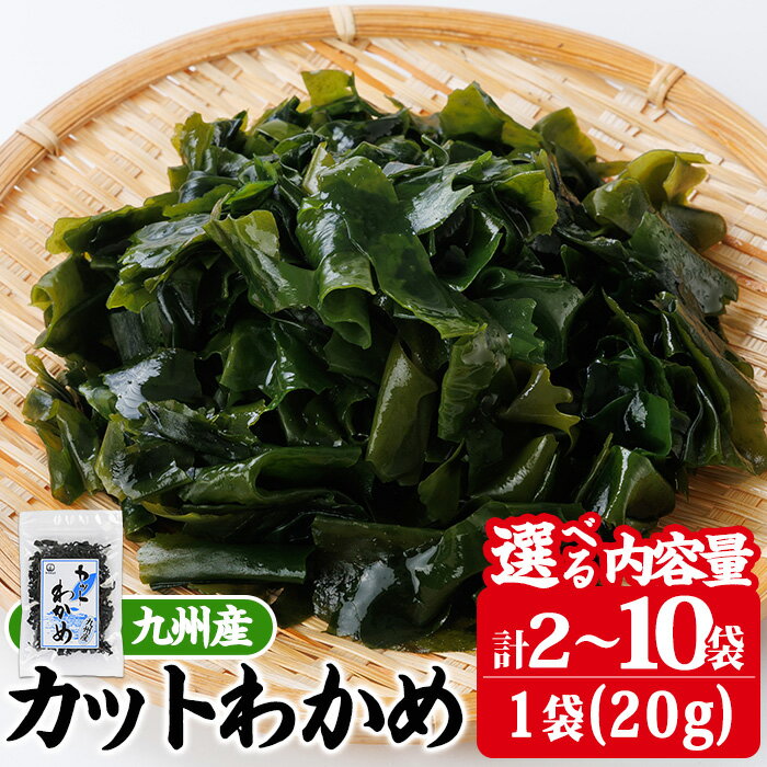 【ふるさと納税】 ＜内容量が選べる＞九州産 カットわかめ (計2袋～10袋・1袋20g入) 海藻 わかめ 味噌汁 みそ汁 サラダ 酢の物 スープ 国産 九州産 常温 大分県 佐伯市【CW12・CW30・CW32】【山忠】