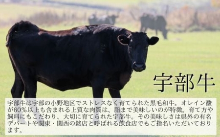 ステーキ 宇部牛サーロインステーキ2枚 BTAJ019