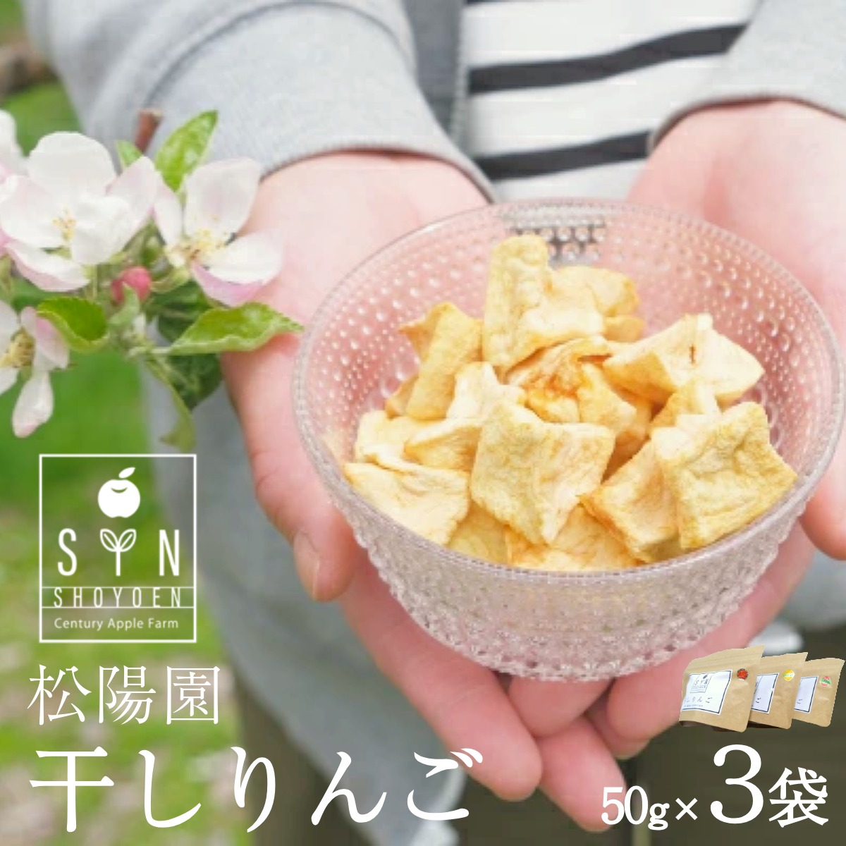 干しりんご 3個 50g×3袋 林檎 リンゴ フルーツ 干しりんご 松陽園