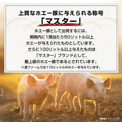 色々なお料理に!ケンボロー・ホエー豚のひき肉2.8kg【CT-017】【配送不可地域：離島】【1396948】