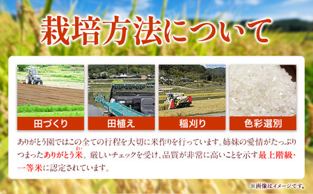 令和5年産 米 岡山県産 きぬむすめ 無洗米 20kg ありがとう園《30日以内に出荷予定(土日祝除く)》岡山県 矢掛町 無洗米 米 コメ 一等米