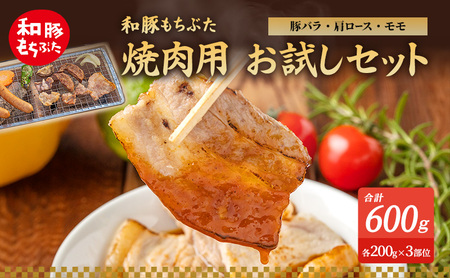 和豚もちぶた お試しセット 焼肉用 600g 200g×3部位 1～2人世帯向け 豚バラ 肩ロース モモ