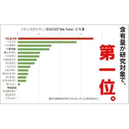 べにふうき緑茶 ティーバッグ5g・10包入り×4袋 静岡県掛川市産 深蒸し製法【配送不可地域：離島・沖縄県】【1736753】