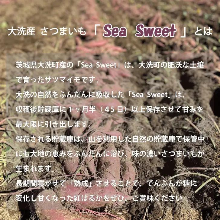 大洗産 さつまいも 紅はるか 5kg （15本前後） Sea Sweet 長期熟成 茨城県産 サツマイモ 土付き 生芋 芋 さつま芋 薩摩芋 甘藷 べにはるか_CF001