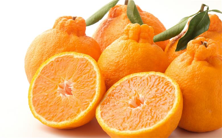 【先行予約】【お試し！】Saito Orange Farmの不知火2kg ※離島への配送不可（2026年2月下旬頃より順次発送） 【ふるさと納税 人気 おすすめ ランキング みかん ミカン 蜜柑 柑橘 不知火 しらぬい フルーツ 果物 産地直送 お試し Saito Orange Farm 愛媛県産 愛媛県 伊方町 送料無料】 IKTAQ013