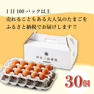日の出たまご 30個入り 卵 たまご 生卵 玉子 鳥 鶏 箱根西麓 三島ブランド 濃厚 黄身 白身 ゆで卵 卵かけごはん オムレツ 贈り物 ギフト 養鶏場 平飼い 発酵飼料 富士 伏流水 弾力 たまご