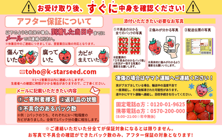 暖家のいちご　完熟あまおう 約275ｇ×2パック 3Z5-S