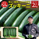 【ふるさと納税】【先行予約】中神農園の ズッキーニ 約2kg (10～12本) 【R6年11月上旬～R7年5月下旬発送】産地直送 野菜 夏 やさい 煮る 炒める 生食 ミネラル ビタミンC ずっきーに 新鮮 甘み 酸味 用途多様 国産 九州 熊本県 多良木町 送料無料 071-0506