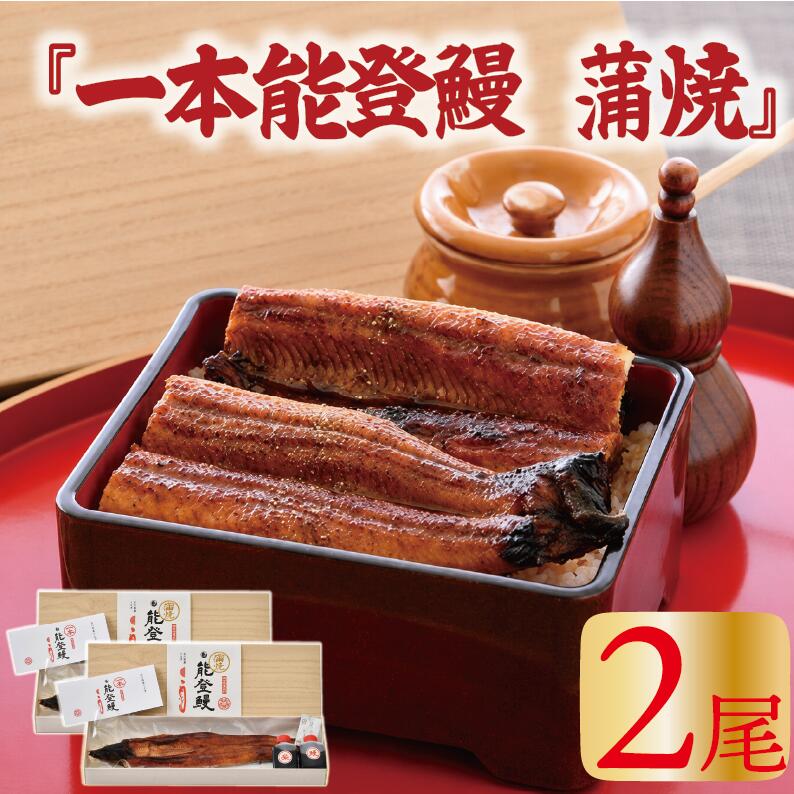 【ふるさと納税】 うなぎ 国産 蒲焼き ミシュラン掲載の老舗料亭『まつお』の一本能登鰻 国産うなぎ 鰻 うなぎ 2尾 能登うなぎ 蒲焼 こだわり の タレ 2種 付き 能登を味わう ふっくら 美味しい 能登うなぎ 石川県能登 うなぎ国産蒲焼き ふるさと納税 肉厚 羽咋市 羽咋