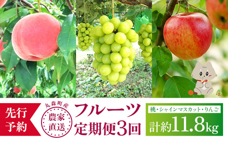 【先行予約】《採れたてを農家直送》 宮城県丸森町産 フルーツ定期便 コース2 （桃・シャインマスカット・りんご）【48008】