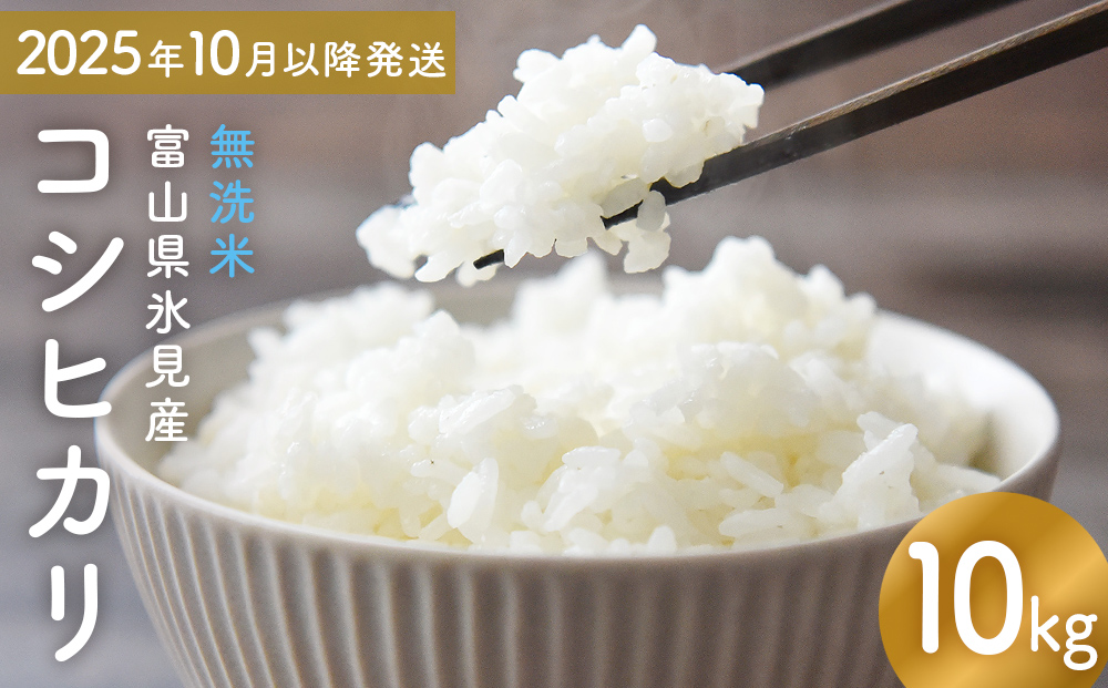 コシヒカリ 無洗米 10kg （5kg×2） 富山県氷見産 富山県 氷見市 米 コシヒカリ