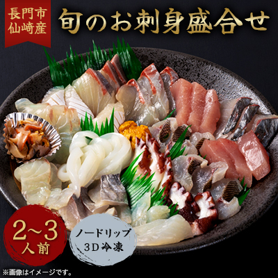 長門市 仙崎産　旬のお刺身盛合せ2-3人前　ノードリップ3D冷凍【配送不可地域：離島・北海道・沖縄】【1429653】