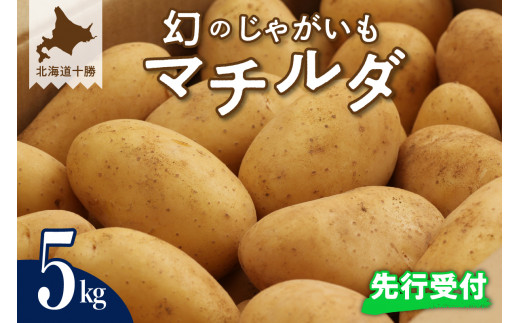 【先行受付】【2025年9月下旬より配送予定】北海道十勝芽室町 幻のじゃがいも「マチルダ」5kg me002-001-24c