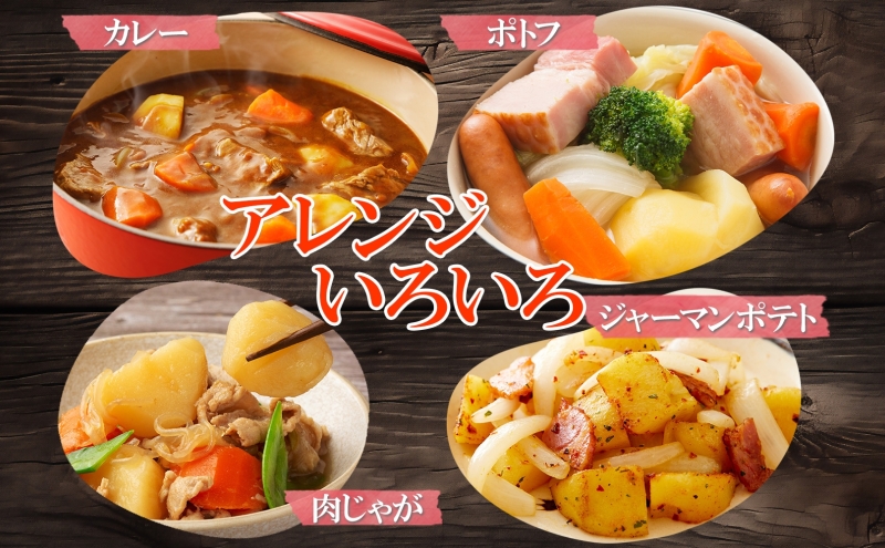 北海道産じゃがいも 男爵 5kg 玉ねぎ 3kg Lサイズ 計約8kg ジャガイモ 男爵いも 馬鈴薯 ポテトタマネギ 玉葱 常備野菜 根菜 産直 国産 JAようてい 送料無料 北海道 倶知安町