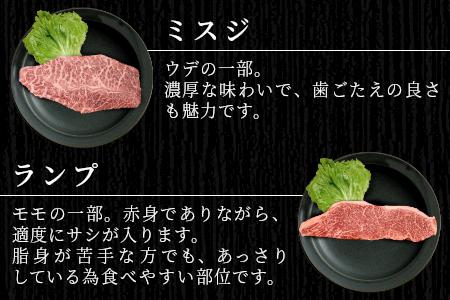 根羽こだわり和牛 希少部位 ステーキセット 500g以上 15000円