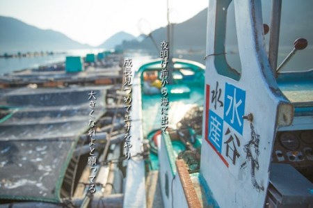 【テレビで紹介されました】 配送日指定可 【新姫　熊野鯛】 下処理済み 冷凍 水谷水産【mzsi0001-2】