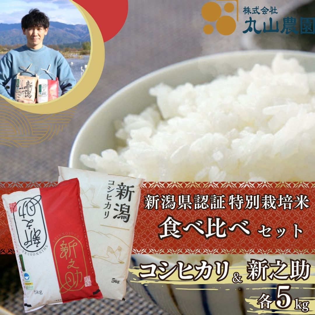 【ふるさと納税】【令和8年産新米予約】 新潟県阿賀野市産 コシヒカリ 新之助 各5kg 計10kg 食べ比べセット 特別栽培米 新潟県認証米 従来コシヒカリ 精米 白米 丸山農園 米 こめ コメ 白米 精米 新米 新米予約 令和8年産 10月中旬より順次発送予定