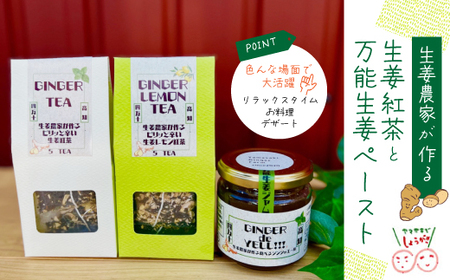 【 山﨑生姜農園 】 生姜農家 が作った 至高の 生姜ジャム ＆ 生姜紅茶 セット 生姜 しょうが ショウガ ジンジャー ジャム 濃厚 きび糖 加工品 食品 グルメ ティーパック 茶葉 お茶 紅茶 おいしい ドリンク 飲料 高知県 高知 四万十市 四万十 しまんと 25-745