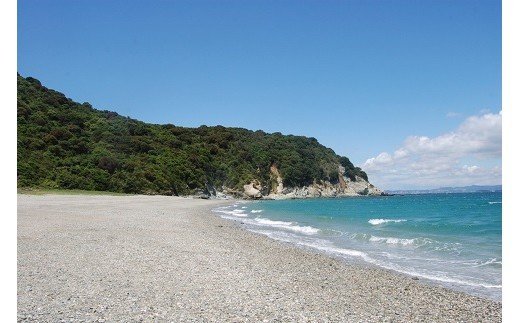 300 無人島（地ノ島）の浜辺でBBQ（4名様）(A300-1)