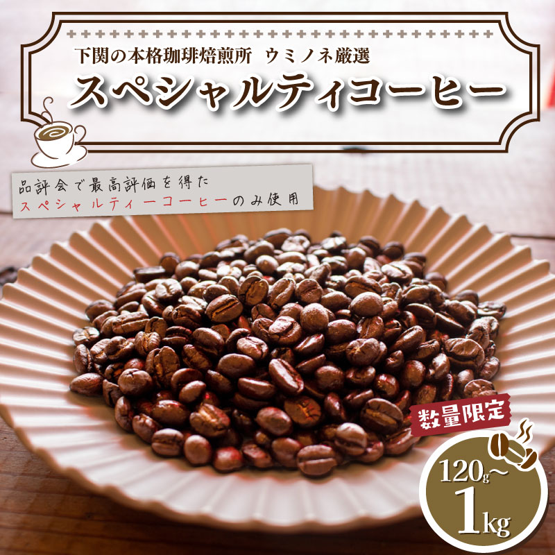 【ふるさと納税】 訳あり コーヒー 豆 120g ~ 1kg 選べる 種類 容量 回数 定期便 ブラジル ベトナム タイ インドネシア ホンジュラス エチオピア グアテマラ 数量限定 コーヒー 珈琲 出荷当日 自家焙煎 スペシャルティコーヒー おいしい 下関 山口 【2025年度入荷分】