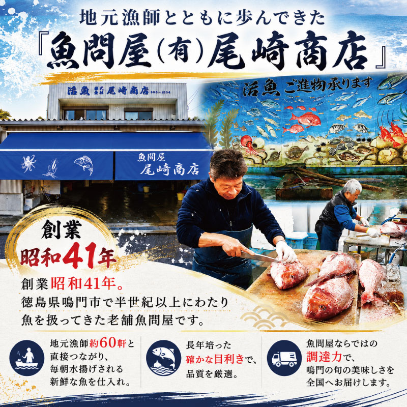 鯛 切り身 6切れ 鯛 たい 養殖 塩焼き 鯛めし 祝い鯛 アラ お頭 徳島鯛 おせち 正月 しゃぶしゃぶ 鯛しゃぶ 鍋 年末年始 徳島 鳴門 尾崎商店 【年末年始 発送対応可能です！】
