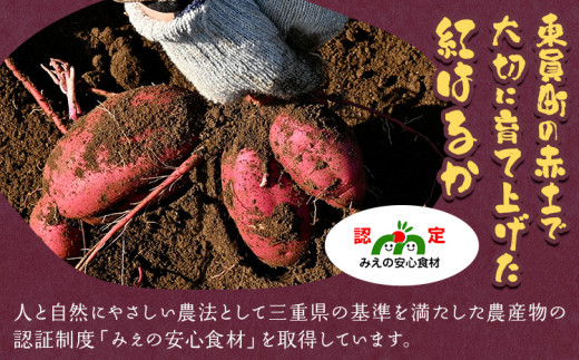 さつまいも 紅はるか 約5kg 株式会社シグマサポート《2025年10月中旬-12月中旬頃出荷予定(土日祝除く)》送料無料 サツマイモ 三重県 東員町 お菓子 おやつ 紅はるか やきいも さつまいも 